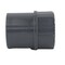 Charlotte Pipe And Foundry Charlotte Pipe Schedule 80 1 in. Slip X 1 in. D FPT PVC Pipe Adapter 1 pk PVC 08101 1400 - alternate 2